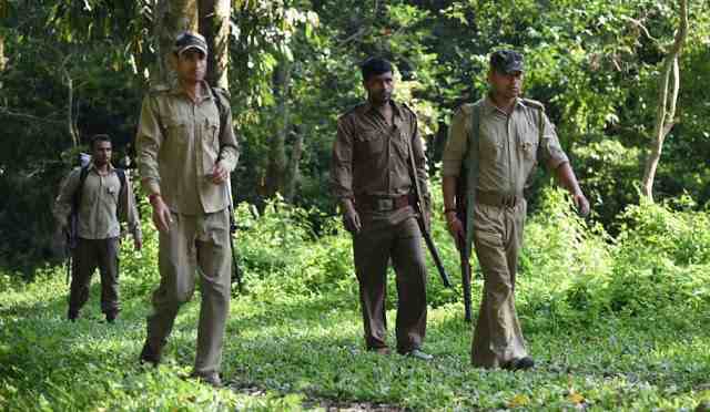 delhi forest guard salary